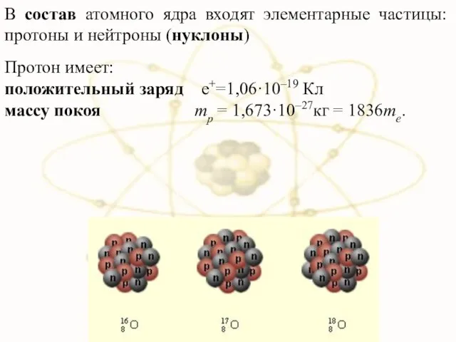 В состав атомного ядра входят элементарные частицы: протоны и нейтроны (нуклоны)