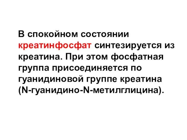 В спокойном состоянии креатинфосфат синтезируется из креатина. При этом фосфатная группа