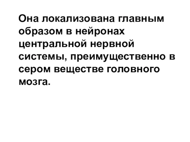 Она локализована главным образом в нейронах центральной нервной системы, преимущественно в сером веществе головного мозга.