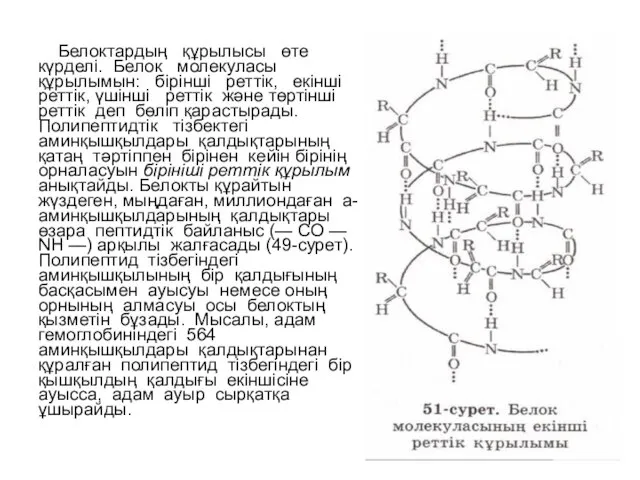 Белоктардың құрылысы өте күрделі. Белок молекуласы құрылымын: бірінші реттік, екінші реттік,