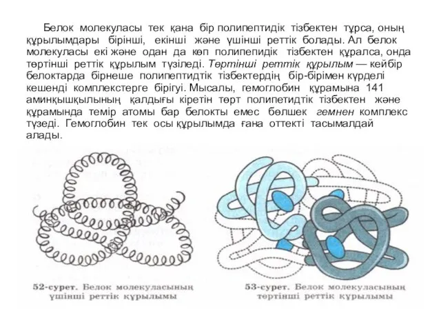 Белок молекуласы тек қана бір полипептидік тізбектен тұрса, оның құрылымдары бірінші,