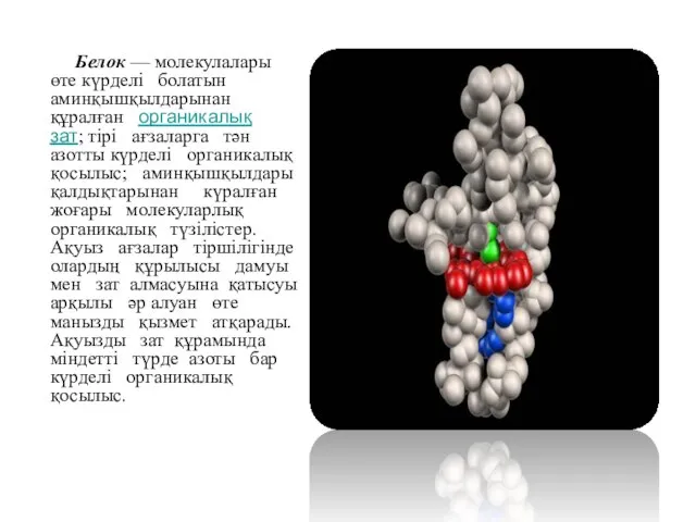 Белок — молекулалары өте күрделі болатын аминқышқылдарынан құралған органикалық зат; тірі