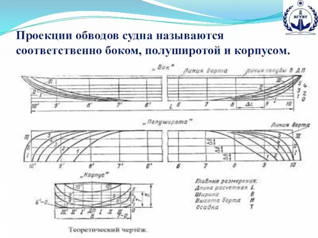 Проекции обводов судна называются соответственно боком, полуширотой и корпусом.