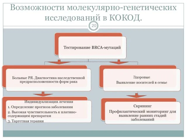 Возможности молекулярно-генетических исследований в КОКОД.