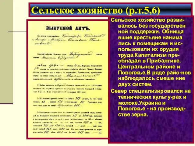 Сельское хозяйство разви-валось без государствен ной поддержки. Обнища вшие крестьяне нанима