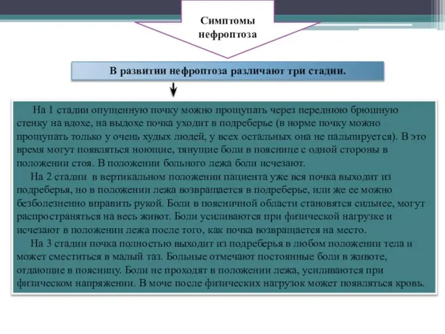 На 1 стадии опущенную почку можно прощупать через переднюю брюшную стенку