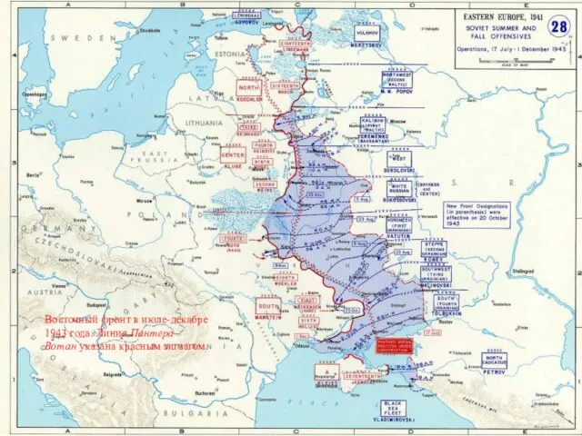 Восточный фронт в июле-декабре 1943 года. Линия Пантера - Вотан указана красным зигзагом.