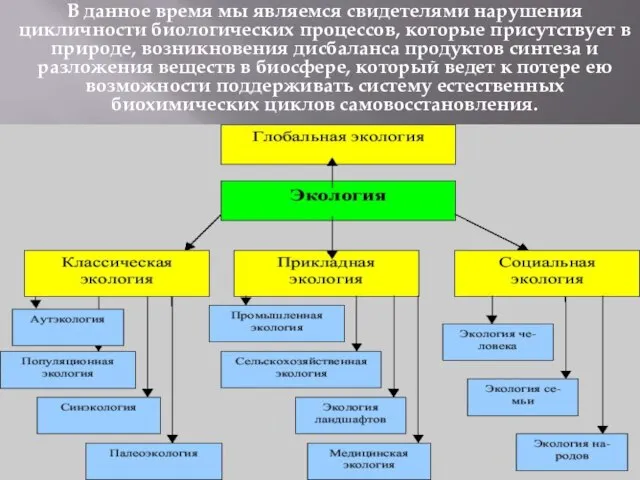 В данное время мы являемся свидетелями нарушения цикличности биологических процессов, которые