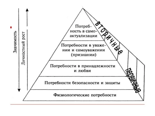 первичные в т о р и ч н ы е