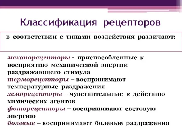 Классификация рецепторов в соответствии с типами воздействия различают: механорецепторы - приспособленные