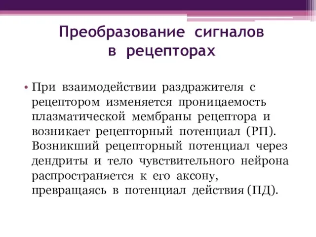 Преобразование сигналов в рецепторах При взаимодействии раздражителя с рецептором изменяется проницаемость