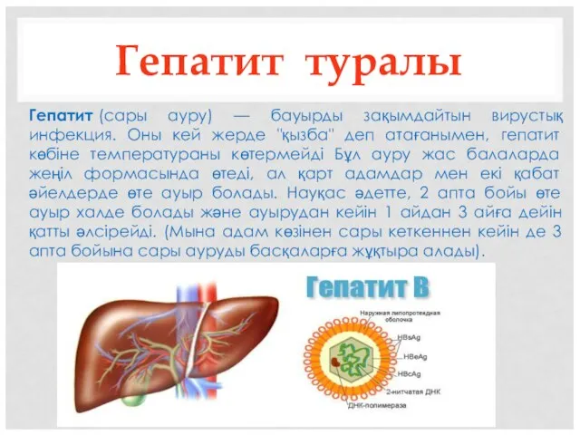 Гепатит туралы Гепатит (сары ауру) — бауырды зақымдайтын вирустық инфекция. Оны