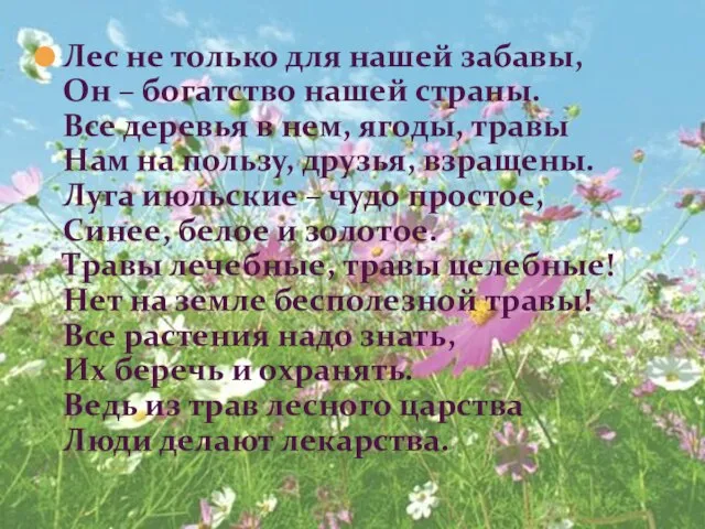 Лес не только для нашей забавы, Он – богатство нашей страны.