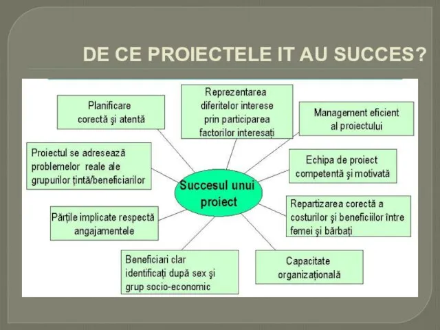 DE CE PROIECTELE IT AU SUCCES?