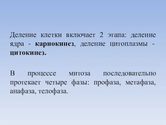 Деление клетки включает 2 этапа: деление ядра - кариокинез, деление цитоплазмы