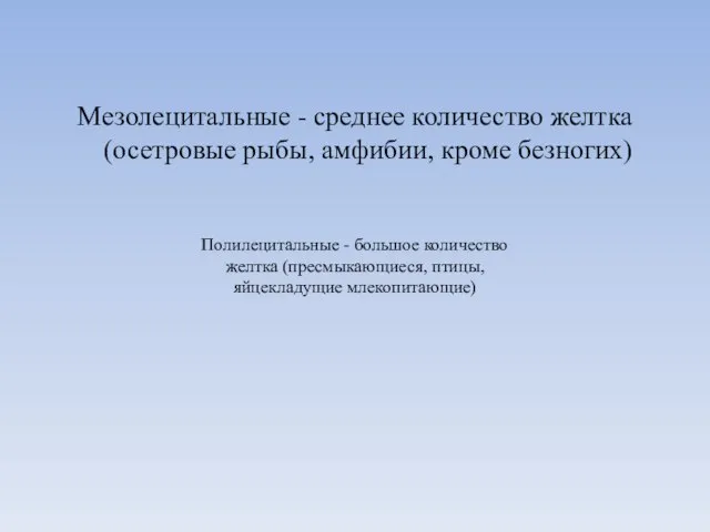 Мезолецитальные - среднее количество желтка (осетровые рыбы, амфибии, кроме безногих) Полилецитальные