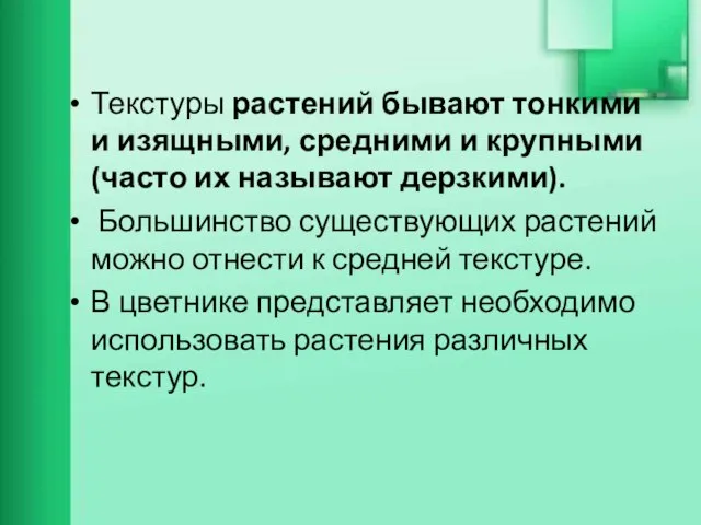 Текстуры растений бывают тонкими и изящными, средними и крупными (часто их