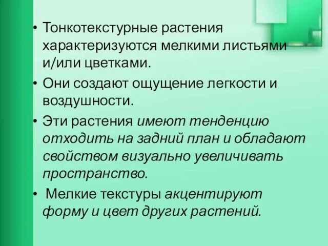 Тонкотекстурные растения характеризуются мелкими листьями и/или цветками. Они создают ощущение легкости