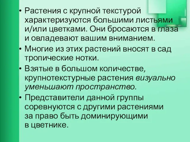 Растения с крупной текстурой характеризуются большими листьями и/или цветками. Они бросаются