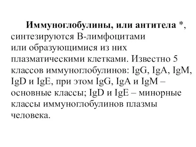 Иммуноглобулины, или антитела *, синтезируются В-лимфоцитами или образующимися из них плазматическими