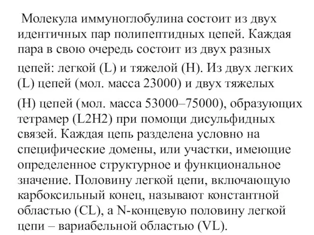 Молекула иммуноглобулина состоит из двух идентичных пар полипептидных цепей. Каждая пара