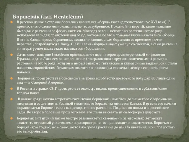 В русском языке в старину борщевик назывался «борщ» (засвидетельствовано с XVI