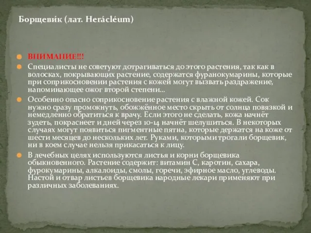 ВНИМАНИЕ!!! Специалисты не советуют дотрагиваться до этого растения, так как в