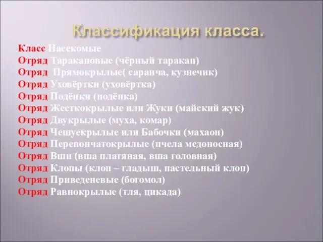 Класс Насекомые Отряд Таракановые (чёрный таракан) Отряд Прямокрылые( саранча, кузнечик) Отряд