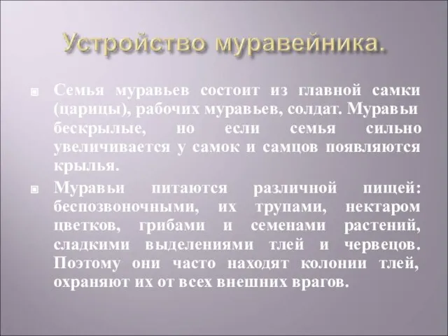 Семья муравьев состоит из главной самки (царицы), рабочих муравьев, солдат. Муравьи