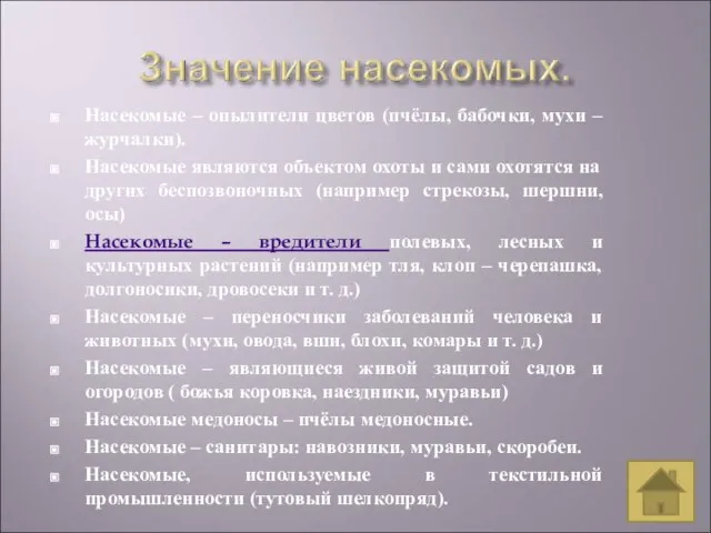 Насекомые – опылители цветов (пчёлы, бабочки, мухи – журчалки). Насекомые являются