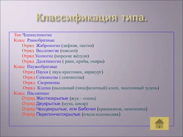 Тип Членистоногие Класс Ракообразные Отряд Жаброногие (дафния, щитни) Отряд Веслоногие (циклоп)