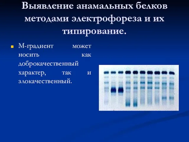 Выявление анамальных белков методами электрофореза и их типирование. М-градиент может носить