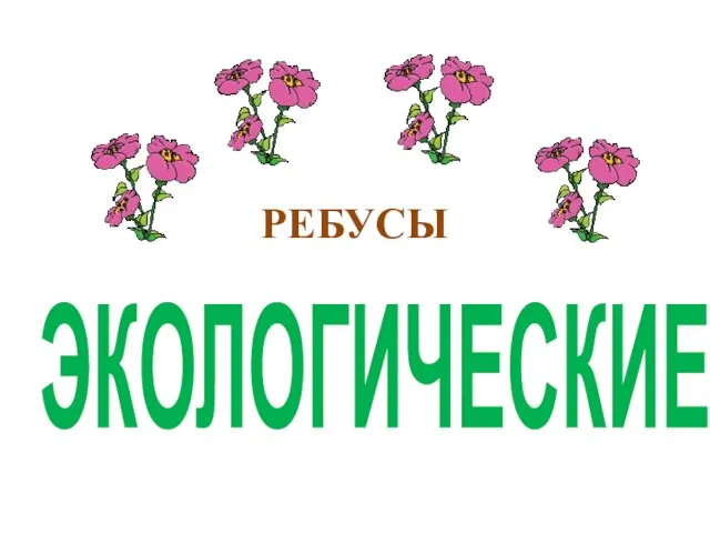 РЕБУСЫ ЭКОЛОГИЧЕСКИЕ