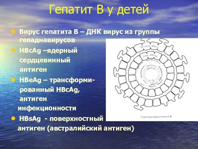 Гепатит В у детей Вирус гепатита В – ДНК вирус из