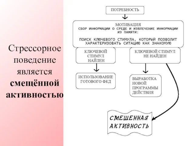 Стрессорное поведение является смещённой активностью