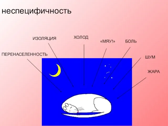 ПЕРЕНАСЕЛЕННОСТЬ ЖАРА «МЯУ!» ШУМ ИЗОЛЯЦИЯ ХОЛОД БОЛЬ неспецифичность