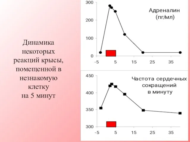 Динамика некоторых реакций крысы, помещенной в незнакомую клетку на 5 минут