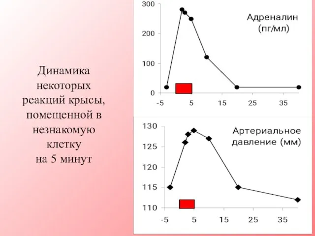 Динамика некоторых реакций крысы, помещенной в незнакомую клетку на 5 минут