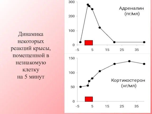 Динамика некоторых реакций крысы, помещенной в незнакомую клетку на 5 минут