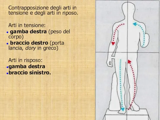 Contrapposizione degli arti in tensione e degli arti in riposo. Arti