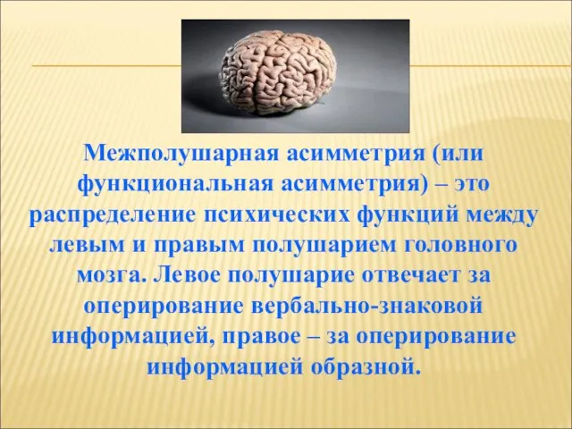 Межполушарная асимметрия (или функциональная асимметрия) – это распределение психических функций между