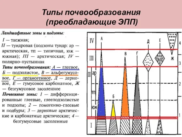 Типы почвообразования (преобладающие ЭПП)