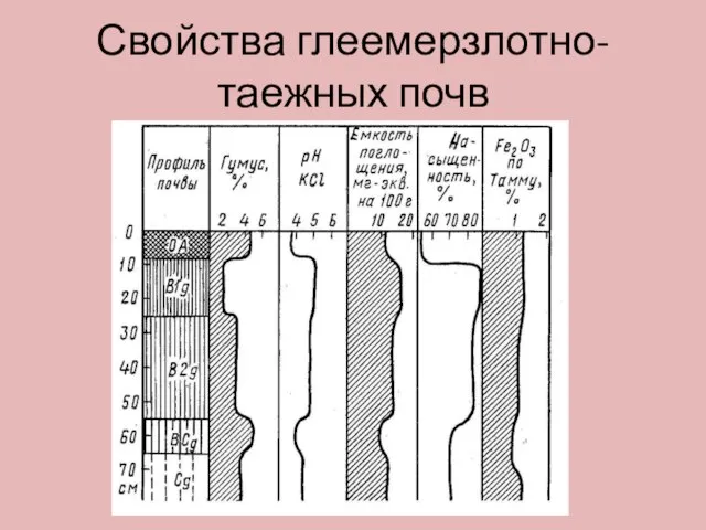 Свойства глеемерзлотно-таежных почв