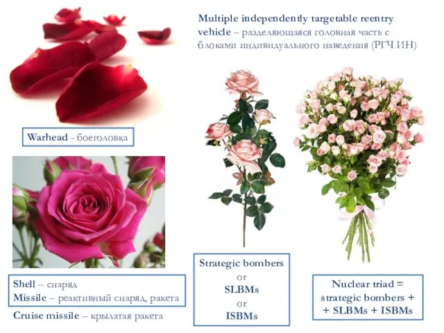 Warhead - боеголовка Multiple independently targetable reentry vehicle – разделяющаяся головная