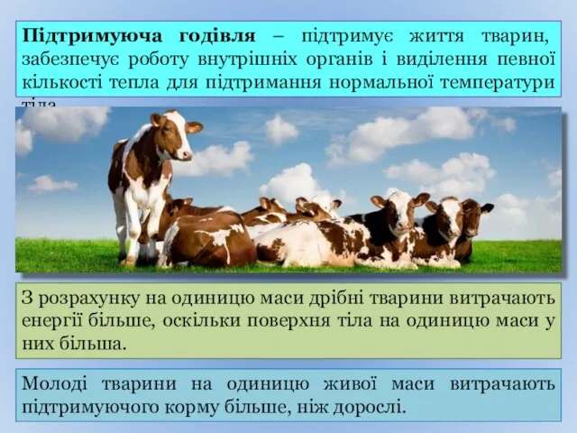 Підтримуюча годівля – підтримує життя тварин, забезпечує роботу внутрішніх органів і