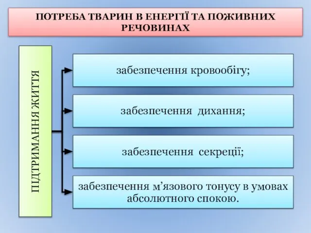 ПОТРЕБА ТВАРИН В ЕНЕРГІЇ ТА ПОЖИВНИХ РЕЧОВИНАХ