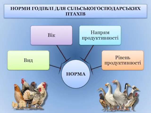 НОРМИ ГОДІВЛІ ДЛЯ СІЛЬСЬКОГОСПОДАРСЬКИХ ПТАХІВ