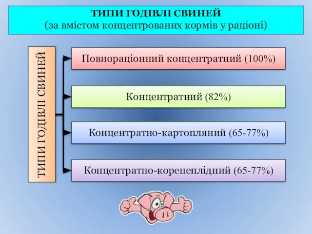 ТИПИ ГОДІВЛІ СВИНЕЙ (за вмістом концентрованих кормів у раціоні)