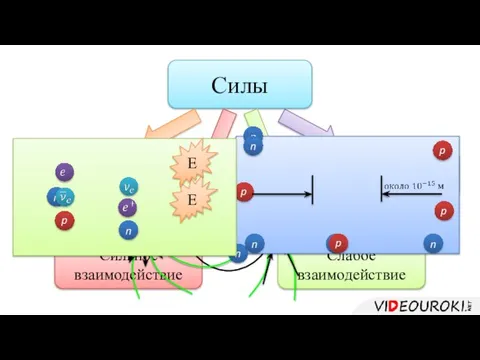 Силы Гравитационные силы Электромагнитные силы Сильное взаимодействие Слабое взаимодействие – + E E