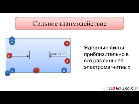 Ядерные силы приблизительно в сто раз сильнее электромагнитных Сильное взаимодействие –